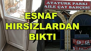 Hırsız Şüphelisi Bir İşyerine daha girdi,