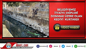 İtfaiye Ekiplerimiz donmak üzere olan kediyi kurtardı