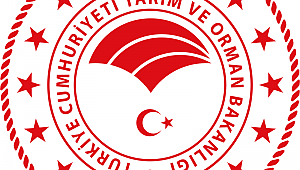 Çobansaray Köyünde Koyun-Keçi Çiçek Hastalığı Çıkışı Duyurusu