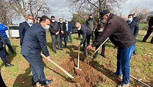 İlçemizde Kestane Deneme Projesi Hayata Geçiyor