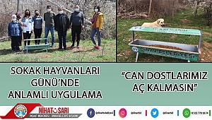Başkan Sarı’dan “Sokak Hayvanları Günü’nde Anlamlı Uygulama”