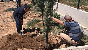 Yalova’dan Dinar’a 70 Adet Çam Fidanı