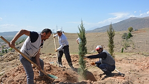 Dinarımızın girişi yeşil bir görünüme kavuşuyor