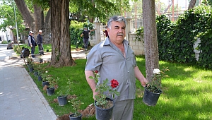 Başkan Sarı, “Lise caddemizde güller açıyor”