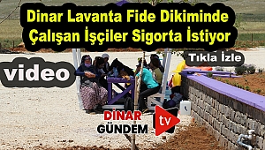 Lavantada Çalışan İşçi Kadınlar 5 Yıldır Sigortasız Çalıştıklarını İddia Etti