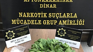 Polis 69 kök Hint keneviri yakaladı