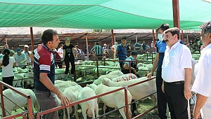 Başkan Sarı Kurban Pazarını Ziyaret Etti