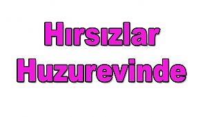 Bu Kez Hırsızların Hedefi Huzurevi Oldu