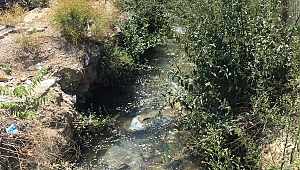 BÜYÜK MENDERES NEHRİ YOK OLMASIN! BİR İMZA VER!