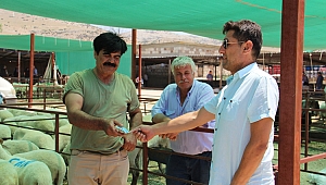 Dinar'da kurban pazarı başladı