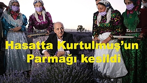 Türkiye'de Lavanta Hasadını Kurtulmuş Başlattı