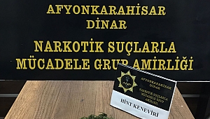 Dinar'da Kök Kenevir Yakalandı