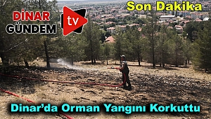 Dinar'da Orman Yangını Çıktı