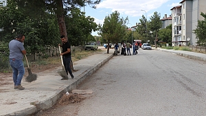 Başkan Sarı,