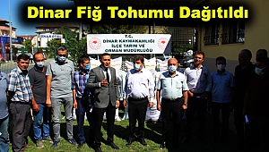 Dinar'da Hibe Fiğ Tohumu dağıtıldı