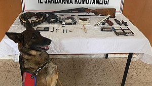 Dinar'da Jandarmadan Operasyon: Neler Çıktı