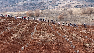 DİNAR GELİŞİYOR” ADLI SOGEP PROJESİ