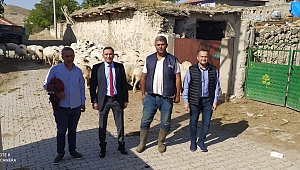 KÖYÜMDE YAŞAMAK İÇİN BİR SÜRÜ NEDENİM VAR