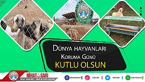 Başkan Sarı’dan 4 Ekim Dünya Hayvanları Koruma Günü mesajı