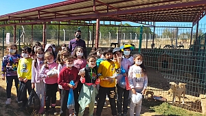 Başkan Sarı, Tüm halkımızı Sahipsiz Sokak Hayvanları Merkezimizi ziyarete davet ediyoruz 