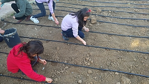 Öğrencilerimiz İçin Bahçe-Tarım Atölyesi Kuruldu