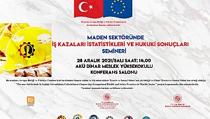 MADEN SEKTÖRÜNDE İŞ KAZALARI İSTATİSTİKLERİ VE HUKUKİ SONU SEMİNERİ
