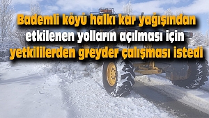Bademli köyü vatandaşları yetkililere seslendi