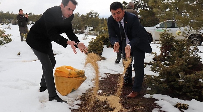 YABAN HAYVANLARI İÇİN DOĞAYA YEM BIRAKILDI