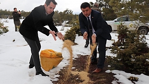 YABAN HAYVANLARI İÇİN DOĞAYA YEM BIRAKILDI