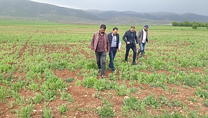 Dinar İlçe Tarım ve Orman Müdürü Yavuz Karakuyu Her Daim Çiftçinin Yanında