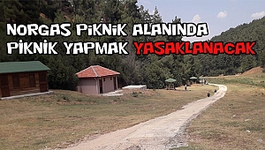 Dinar Norgas Piknik Alanında Temizlik Yapıldı
