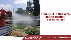 Sivrisinekle mücadele çalışmalarımızı sürdürüyoruz