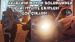 Dinarda Bir Araçtan Yılan Çıktı