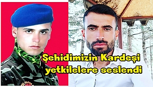 Şehidimizin Kardeşi Şehitlik Yolu İçin Yetkililere Seslendi