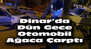Dinar'da otomobil ağaca çarptı
