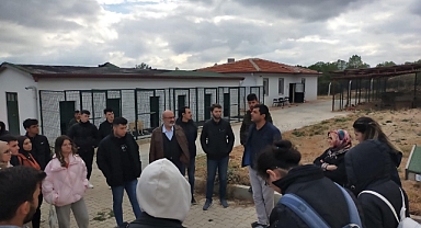 Dinar’da Üniversite Öğrencilerinden Sokak Hayvanlarına ziyaret