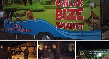 Yeşil Hüyük Köyünde Köpekler Kısırlaştırıldı