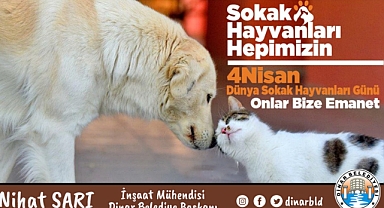 Belediye Başkanımız Nihat Sarı’dan Sokak Hayvanları Günü Mesajı