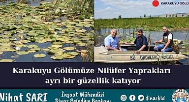 Nilüfer Yaprakları Karakuyu Gölümüze ayrı bir güzellik katıyor