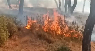 Dinar Pınarlı Köyü Orman Yangınında Son Durum