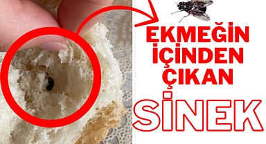 Dinar'da Fırınlarında Yapılan Ekmeklerden Ölü Sinek Çıktığı İddia Edildi