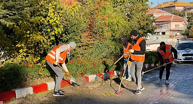 TEMİZ ÇEVRE, MUTLU DİNAR