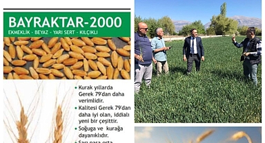 “Çiftçilerimize %50 Hibeli Buğday Tohumu Desteği Başvuruları Başladı!”