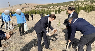FİDANLAR TOPRAKLA BULUŞTURULDU