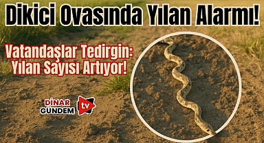 Dikici Ovası’nda Yılan Alarmı: Vatandaşlar Tedirgin! 