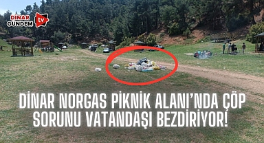 Dinar’da Norgas Piknik Alanı’nda Çöp Sorunu Vatandaşı Bezdiriyor!