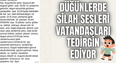Köy Düğünlerinde Silah Sesleri Endişe Yaratıyor
