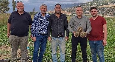 DİNAR'DA ŞEKERPANCARI HASADI BAŞLADI..