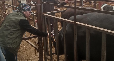 İTHAL HAYVAN KONTROLÜ..