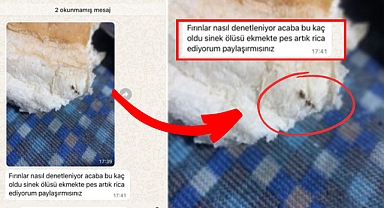 Vatandaşımızdan Tepki: “Ekmeğin İçinden Sinek Çıktı”